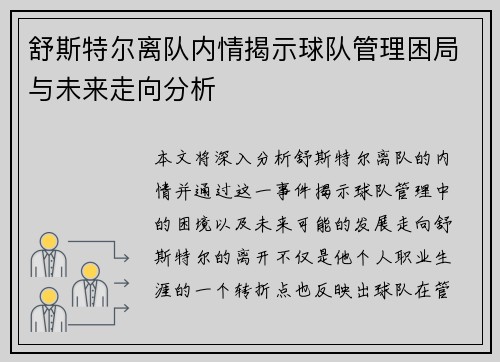 舒斯特尔离队内情揭示球队管理困局与未来走向分析