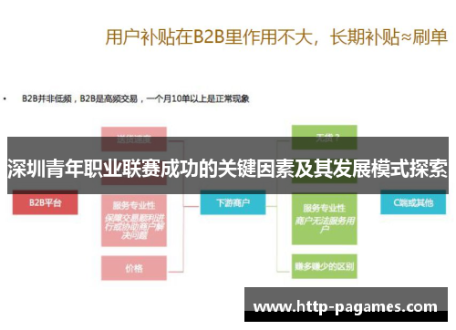 深圳青年职业联赛成功的关键因素及其发展模式探索